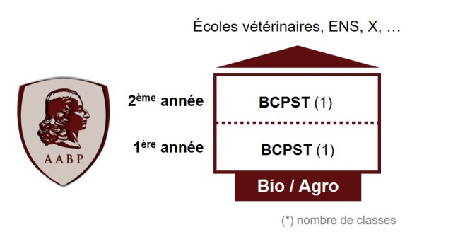 Organisation des CPGE Bio/Agro