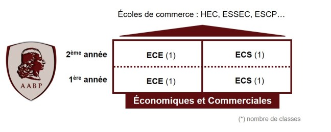 Organisation des CPGE Économiques
